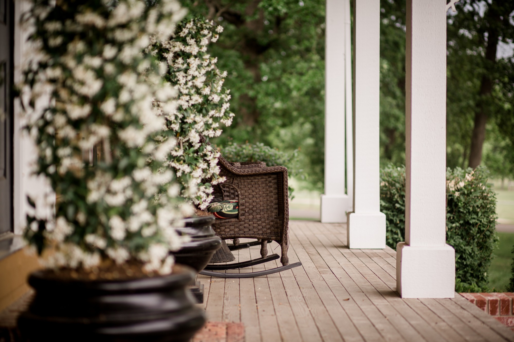 Michele Mackey Banner